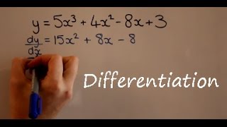 Differentiation [upl. by Maire]