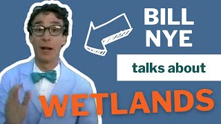 Fabulous Wetlands with Bill Nye The Science Guy 1989 [upl. by Subocaj822]