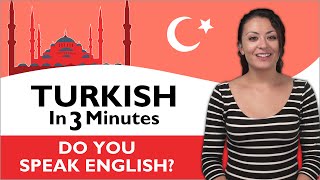 Learn Turkish  Turkish in Three Minutes  Do you speak English [upl. by Bryna774]