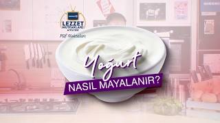 Yoğurt Nasıl Mayalanır [upl. by Ardnuhsed]