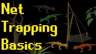 Basic Salamander Hunting Guide 2021 OSRS [upl. by Helaine]