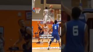 FREAK OF NATURE BASKETBALL PLAYS [upl. by Demetrius]