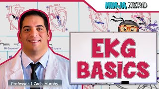 How to Read an EKG  ECG Reading Beginners Guide [upl. by Alled]