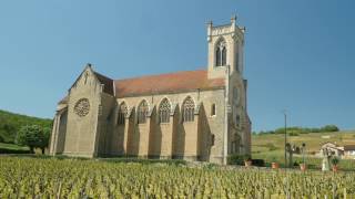 The Wines of Burgundy [upl. by Ricard]