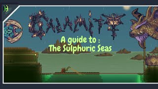 Sulphuric sea guide  Calamity mod Terraria  Version 145007 [upl. by Durston782]