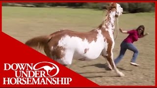 Once Bitten Twice Shy How to Train a Dangerous Dominant Horse [upl. by Eboh]