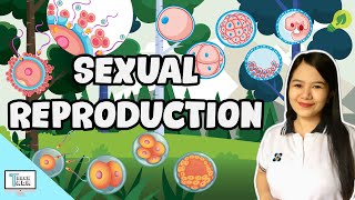 Sexual Reproduction in Animals  Biology [upl. by Janessa378]