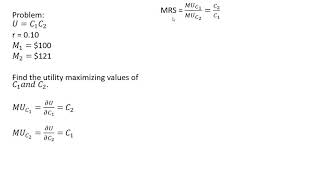 Intertemporal Choice Utility Maximization Over Two Time Periods [upl. by Leopold]