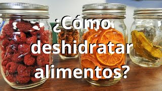 ¿Cómo deshidratar alimentos [upl. by Krusche]