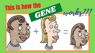 Heredity Inheritance and Variation Grade 9 Genetic Terms [upl. by Qirat]