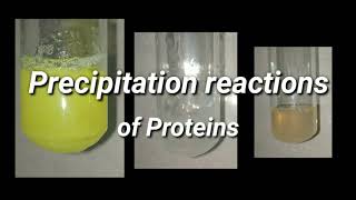 Precipitation Reactions of Proteins  Biochemistry [upl. by Norven]