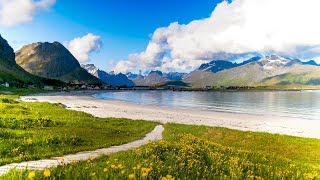 Uplifting Music  light positive happy music Gullrosøya  1 hour [upl. by Grier]