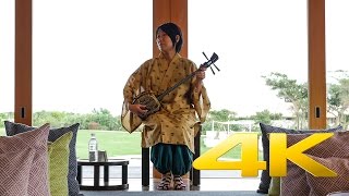 Okinawa Sanshin Music  三線 島唄  4K Ultra HD [upl. by Braasch942]