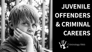 Juvenile Delinquency Two Types of Criminal Careers [upl. by Gonnella59]