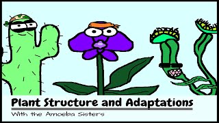 OLD VIDEO Plant Structure and Adaptations [upl. by Irakuy]