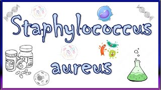 Staphylococcus aureus  Diseases Clinical Presentation Virulence Factors Diagnosis amp Treatment [upl. by Worden]