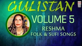 Gulistan Reshma  Vol 5  Audio Jukebox  Vocal  Folk amp Sufi [upl. by Nagorb]