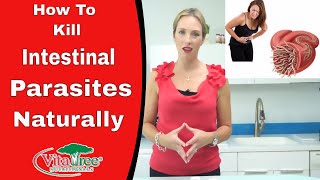 Tips How to Kill Parasites from the Body  VitaLife Show  Ep 167 [upl. by Popper]