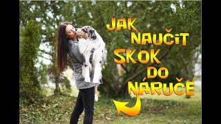 Jak naučit psa SKOK DO NÁRUČE  Tutoriál  VeronikaampAkim [upl. by Hnahym277]