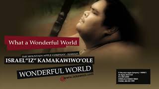 OFFICIAL Israel quotIZquot Kamakawiwoʻole  quotWonderful Worldquot [upl. by Gawlas]