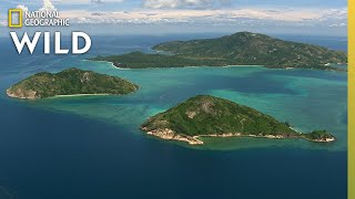 How the Great Barrier Reef Formed  Great Barrier Reef [upl. by Hausner]