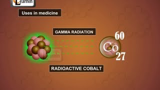 Uses of radioactive isotopes  Chemistry [upl. by Aicelef]