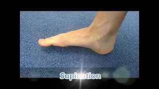 Ankle pronation and supination [upl. by Aicyla]