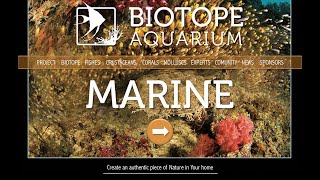 BIOTOPE AQUARIUM Project – MARINE [upl. by Ruskin599]