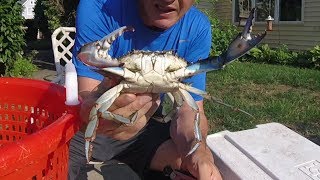 How to Cook Blue Crabs  Catch Clean Cook [upl. by Yelsek]