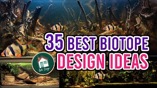 35 Biotope Aquarium Design Ideas [upl. by Schuyler]