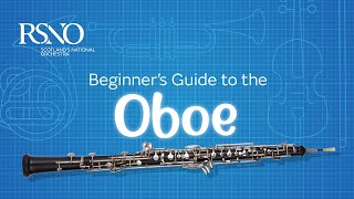 How To Play The Oboe A RSNO Beginners Guide [upl. by Erin443]