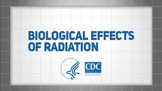 Biological Effects of Radiation [upl. by Elocim]