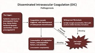 Thrombocytopenia Hemostasis  Lesson 8 [upl. by Fahey]