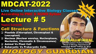 Lecture 5 MDCAT 2022 Biology Preparation Series Cell Structure amp Function Part5 PMC  NUMS [upl. by Niliram]