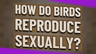 How do birds reproduce sexually [upl. by Snah]