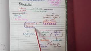 Membranoproliferative Glomerulonephritis  Pathology [upl. by Inaflahk]