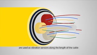 What’s Distributed Acoustic Sensing  how does it monitor a Pipeline [upl. by Brenza]