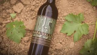 New 1858 Cabernet Sauvignon Napa Valley [upl. by Searle576]