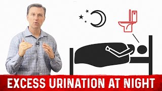 How to Fix Frequent Urination at Night Nocturia – Dr Berg [upl. by Ahsauqram246]