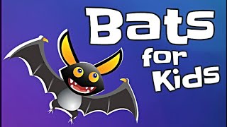 Bats for Kids [upl. by Ehpotsirhc21]