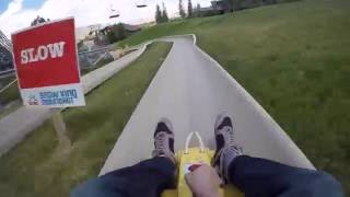 Alpine Slide At Snow King Resort Jackson Hole Wyoming [upl. by Radec]