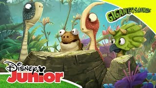 Gigantosaurus Adelanto exclusivo I Disney Junior Oficial [upl. by Pozzy435]