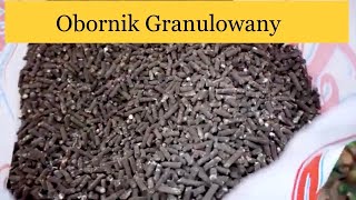 Nawożenie Borówki Obornikiem Granulowanym Nawożenie Organiczne Borówki BorówkaPolska [upl. by Sulamith86]