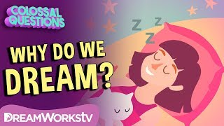 Why Do We Dream  COLOSSAL QUESTIONS [upl. by Ennovi]