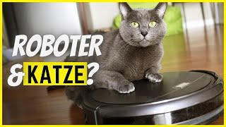 Katze und Saugroboter So klappts ohne Angst [upl. by Narcis]