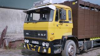 DAF What is the oldest DAF truck still in operation [upl. by Eedolem71]