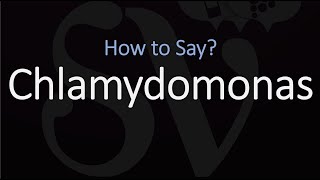 How to Pronounce Chlamydomonas CORRECTLY [upl. by Ielarol761]