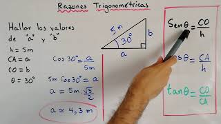 Ejercicio de Razones Trigonométricas  Trigonometría [upl. by Morse451]