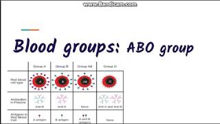 Blood grouping  ABO blood group system [upl. by Lapointe388]