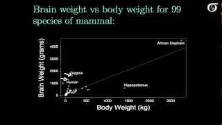 Simple Linear Regression Transformations [upl. by Saul]